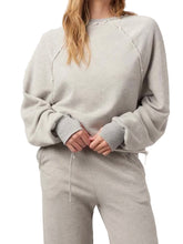 Load image into Gallery viewer, Paris Heathered Raglan